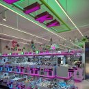 러키비키 서면1호점 | 서면 무인인형뽑기방 러키비키 서면1호점