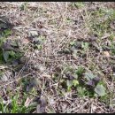 승진농장2 이미지