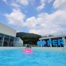 퍼스펫 애견펜션 이미지