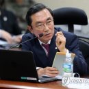 단지바우로 이미지