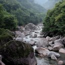 국골민박 티스토리