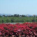 금호강변 이미지