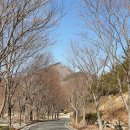 청하약국 이미지