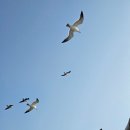 성산진미식당