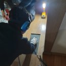 백두한양 이미지