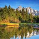 글로벌여행사 이미지