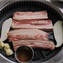 야식돼지