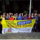 순천-11호 더 한국타임즈
