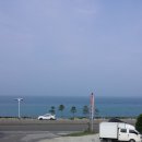 카리브민박 이미지