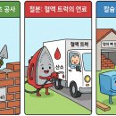 쉼터약국 | [안산 고잔동 쉼터약국] 약사가 알려주는 임산부 영양제 가이드: 우리 아기 &#39;튼튼한 집 짓기&#39; 프로젝트