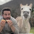 삽교읍주민복합지원센터 이미지