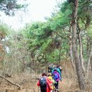 이색선생 묘일원 이미지