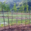 여주-0089 이미지