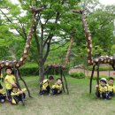 산동숲유치원 이미지