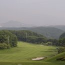 주식회사 보라