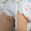 &lt;마 감&gt; 모이스처라이징 크림, 스팟 컨트롤 크림, 비누 는 예약주문 가능합니다.