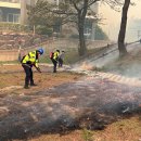 경포동-2 이미지