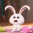 (주)코리아세븐 서울동부병원점 | [건강검진] 30대 초반 대장내시경, 위내시경 한번에 한 후기 - 대장내시경 식단, 대장내시경 약 시간...