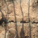 파주통일경기-파주-통일4 이미지