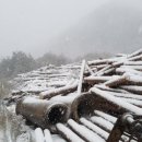 신화임업 네이버블로그