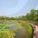 계곡휴양림 민박 이미지