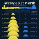 평균 대 중앙값: 연령대별 미국 순자산 시각화 이미지