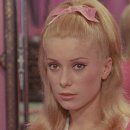 PC & PC(피시앤피시) 이미지