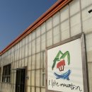 고양대로 2002번길 | 서울 근교 고양 카페 아이라이크마운틴 / 스타필드 근처 애견동반 가능 브런치 맛집