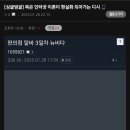 죽은 인터넷 이론이 현실화 되는 중인 사이트 이미지