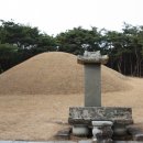 노당2리 Daum카페