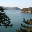 향일암로 티스토리