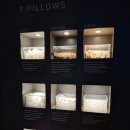 나인트리 바이 파르나스 서울 판교 수영장 | 아이랑 평일 호캉스 :: 나인트리 바이 파르나스 서울 판교 후기