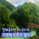 국유림 | 일본 알펜루트 3일차 코스｜구로베 협곡 토롯코 열차 후기 (上)