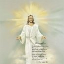 사랑의 날개 이미지