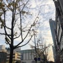 수원-1260 | [수원인계동맛집/오늘초밥] 가성비 장난 아닌 초밥집 발견👀💙 (맨날 회만 먹는거 아님)