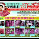 코털네 고기백화점 이미지