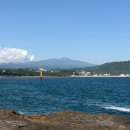 미향해장국성산점 | 제주 여행 이모저모🏝️