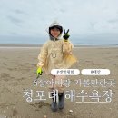 태안 청포대해수욕장 갯벌체험 후기! 아이와 함께한 자연 속 하루