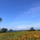 제주팡스테이 이미지