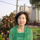 시온목장 이미지