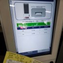 편백자연휴양림 | 하동편백자연휴양림 후기