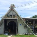 박영숙농장 이미지