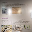 시흥역사자료전시관 | 시흥 늠내길 4코스 바람길 - 오이도 패총전시관
