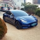 10-415 TS | 🇺🇸14.테슬라 모델3 1년 주행후기[장단점 총정리 with 타차량 비교]