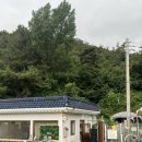 프리멍 | 경남 김해 애견운동장 [멍프리]