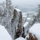 울타리행정사사무소 이미지