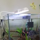 어항고개 이미지