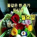 금강베스트공인중개사사무소 이미지