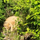 금주의 일기 이미지