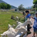 희망씨앗농장 이미지